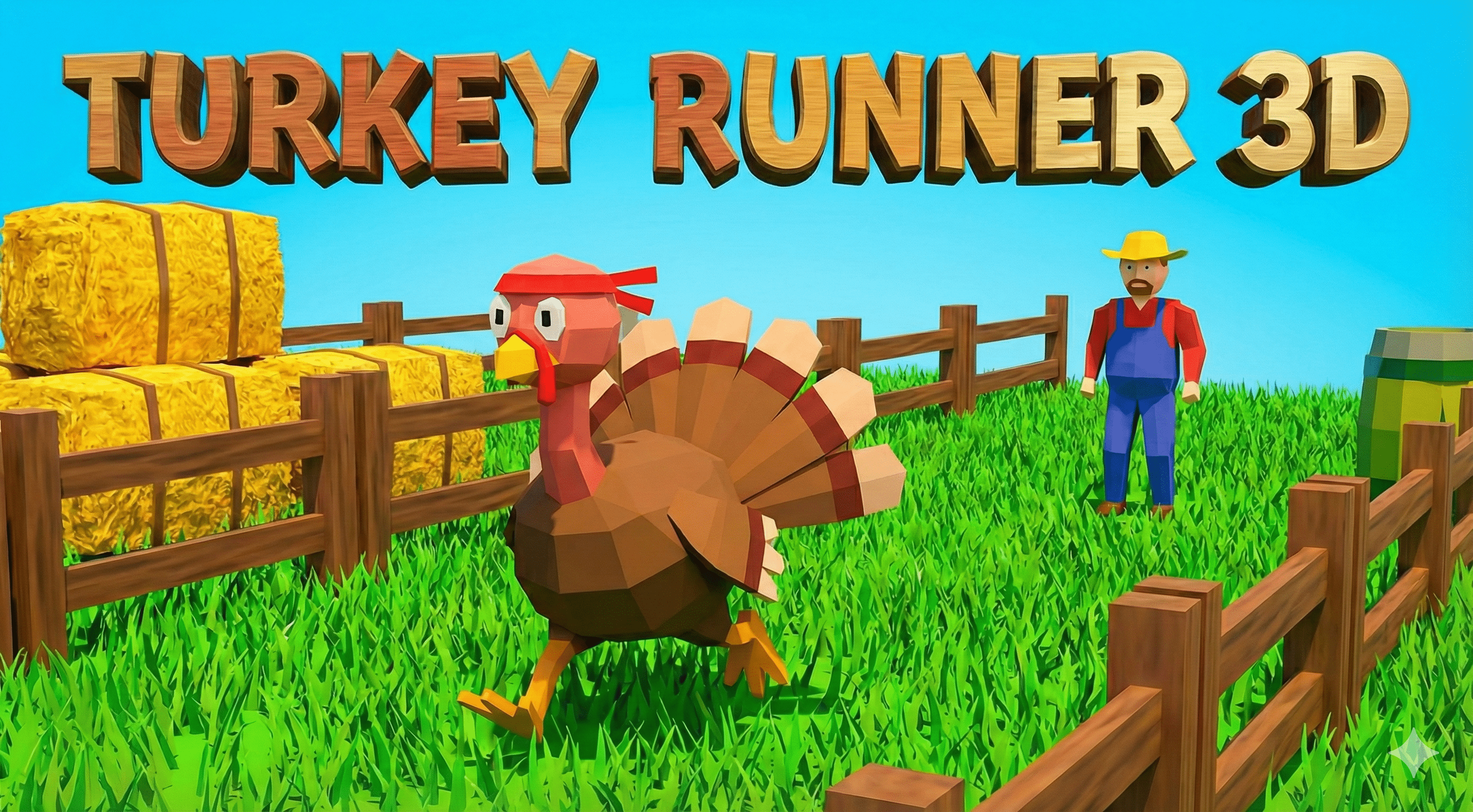 Turkey Runner 3D